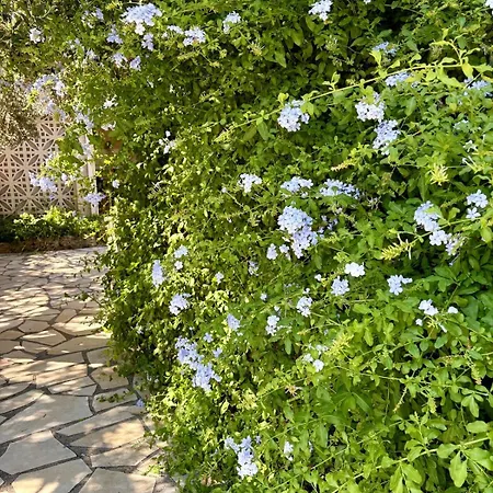 Bignone Piscine Sans Vis A Vis ヴィラ Sérignan